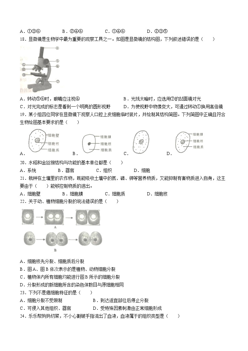 广东省揭阳市揭东区2023-2024学年七年级上学期期中生物试题03