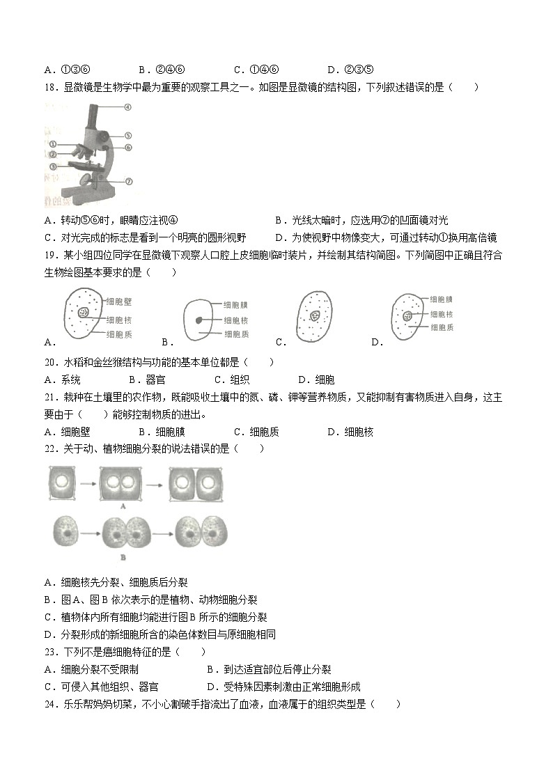 广东省揭阳市揭东区2023-2024学年七年级上学期期中生物试题03