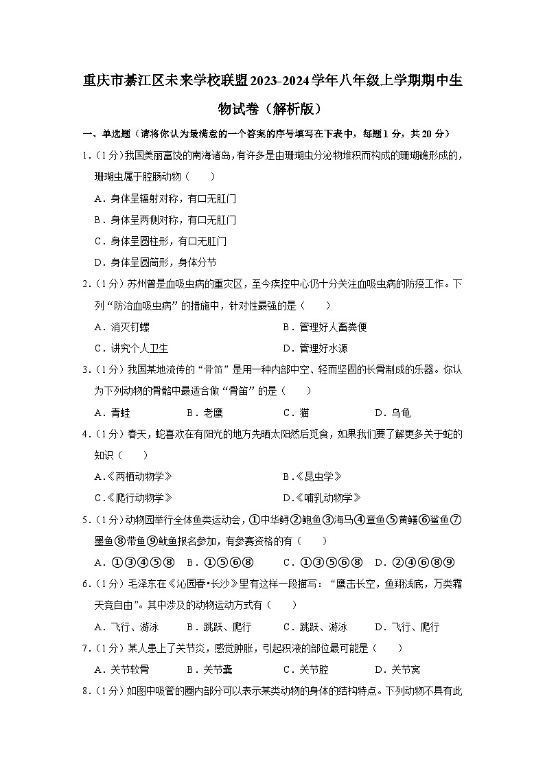 重庆市綦江区未来学校联盟2023-2024学年八年级上学期期中生物试卷第1页