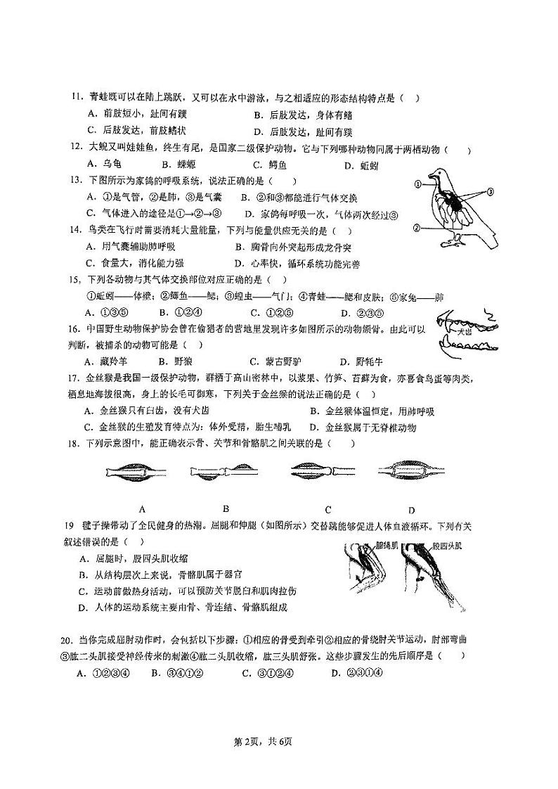 海南省海口市海口中学2023-2024学八年级上学期期中测试生物试卷02