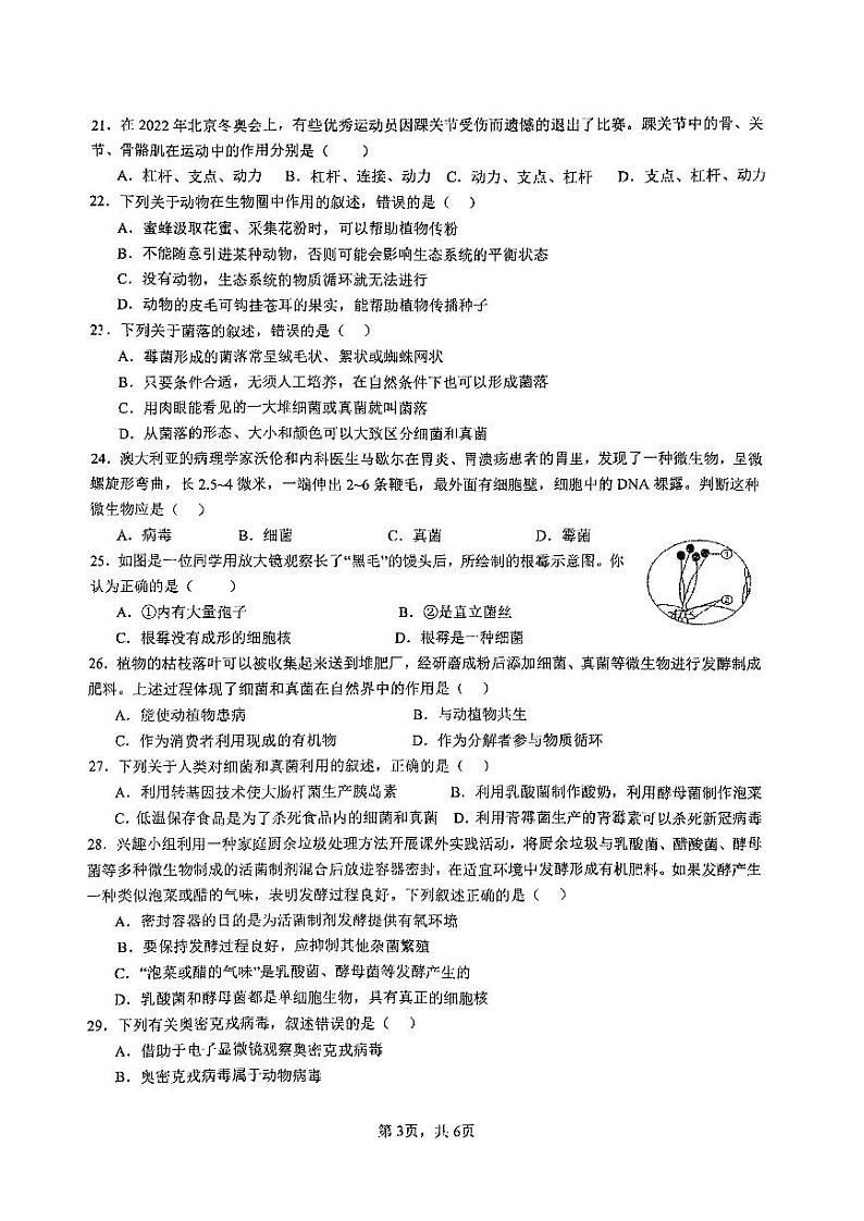 海南省海口市海口中学2023-2024学八年级上学期期中测试生物试卷03