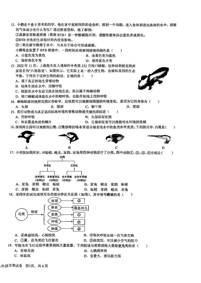 广东省深圳市福田区外国语学校2023-2024学年八年级上学期期中生物试题第2页