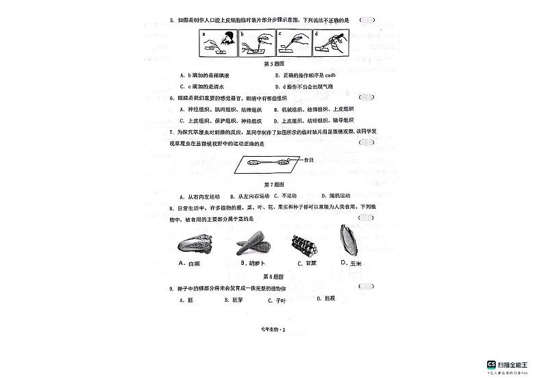 辽宁省沈阳市沈北新区2023-2024学年七年级上学期期中生物学试题第2页