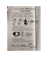 山东省菏泽市巨野县2023-2024学年九年级上学期期中生物试题