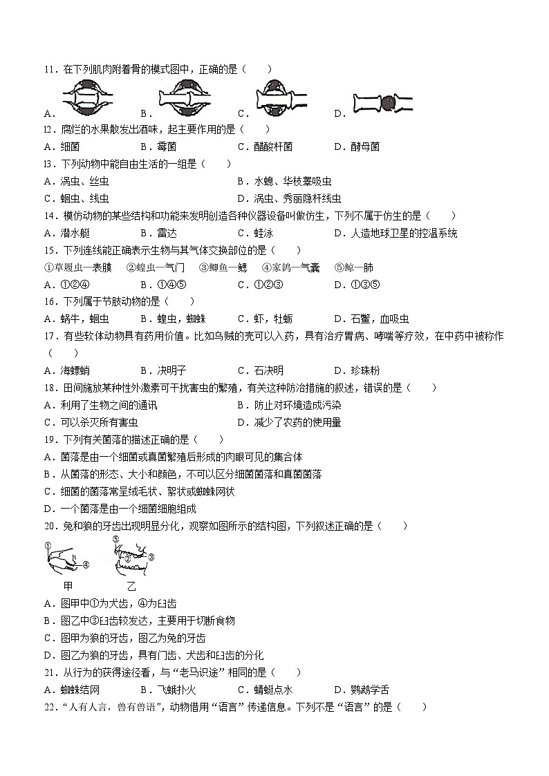河北省唐山市滦南县2023-2024学年八年级上学期期中生物试题第2页