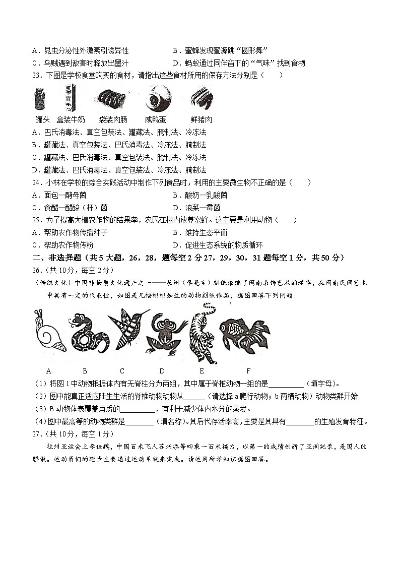 河北省唐山市滦南县2023-2024学年八年级上学期期中生物试题第3页