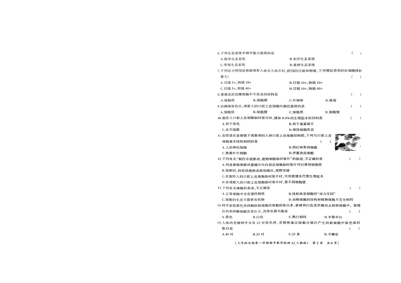 陕西省商洛市山阳县色河铺镇九年制学校2023_2024学年七年级上学期期中教学检测生物学试题02