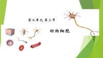 初中生物人教版 (新课标)七年级上册第三节 动物细胞课前预习课件ppt