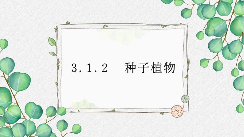 2011编写版七年级上册生物《 种子植物》课件第1页