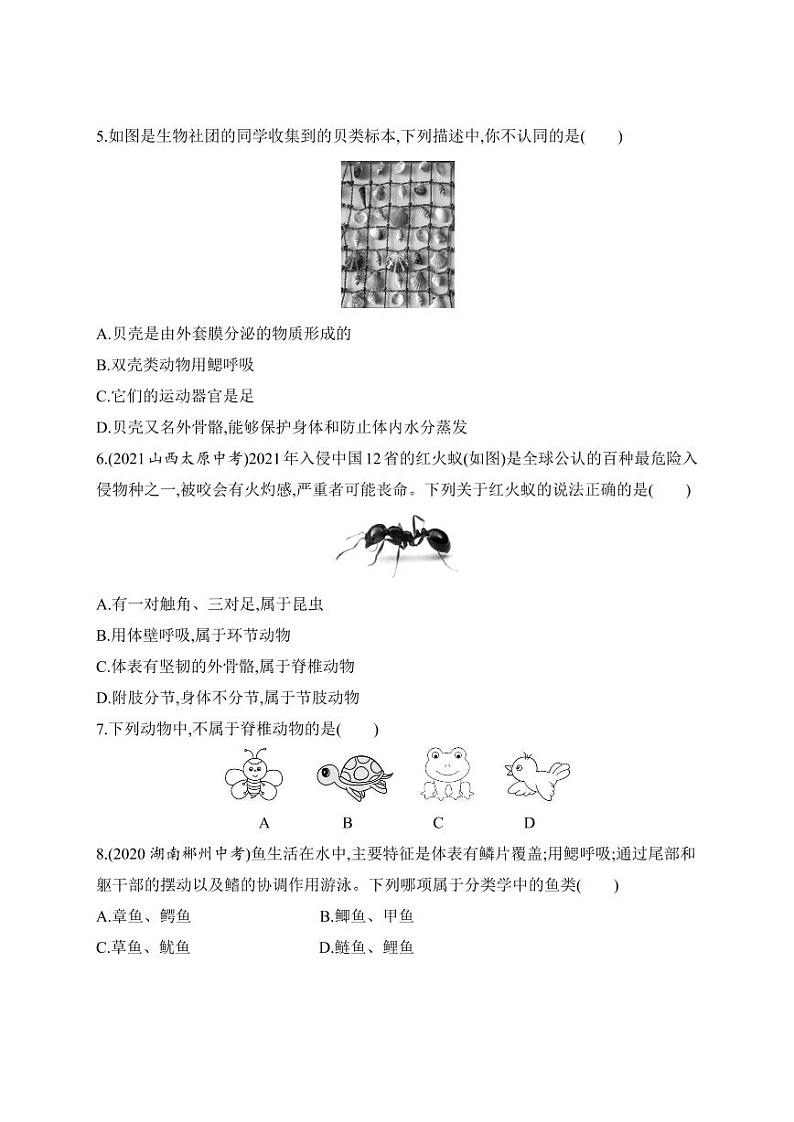 八年级上册生物期中试卷含答案解析第2页
