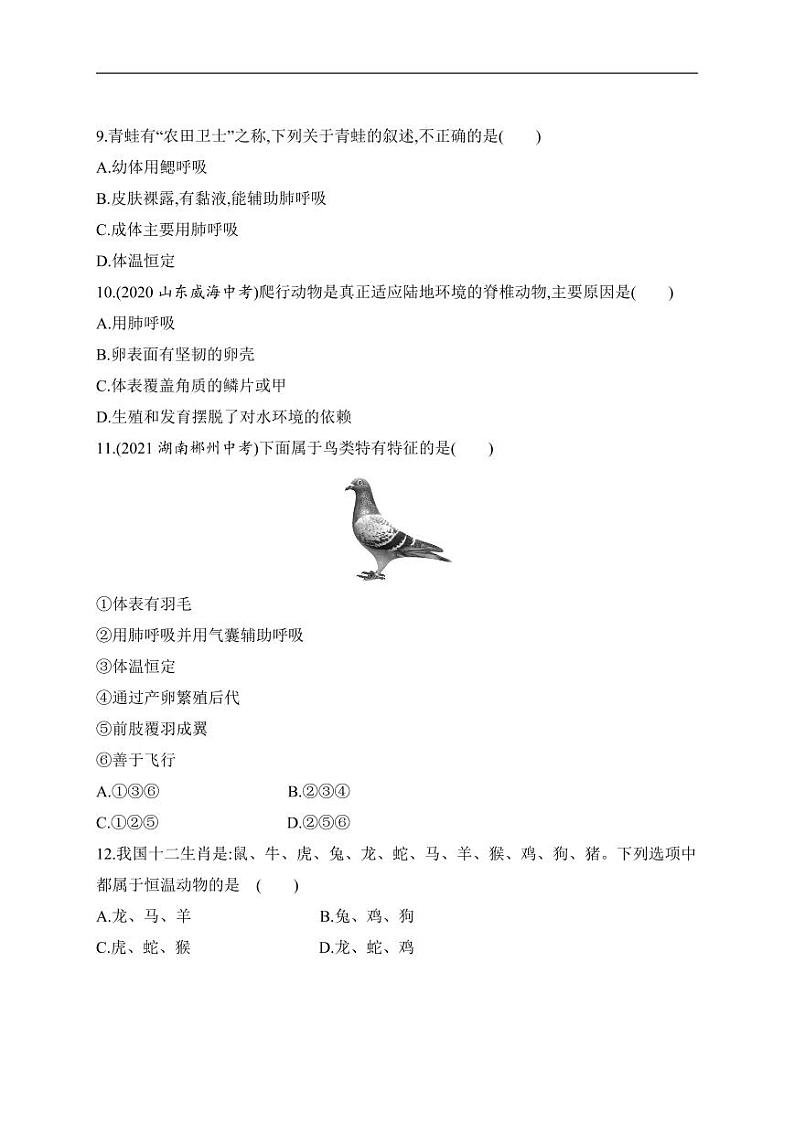 八年级上册生物期中试卷含答案解析第3页