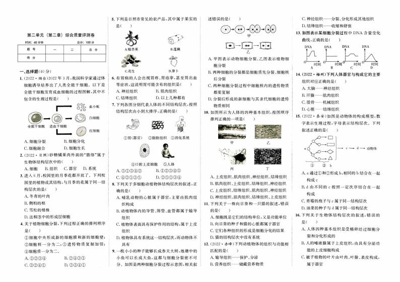 人教版版七年级上册《生物学》第二单元（第二章）综合质量评测卷B卷【含参考答案】01