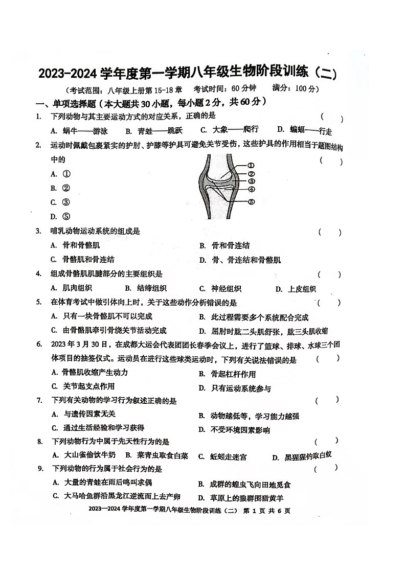 广东省湛江市开发区三校联考2022-2023学年八年级上学期期中生物试题第1页