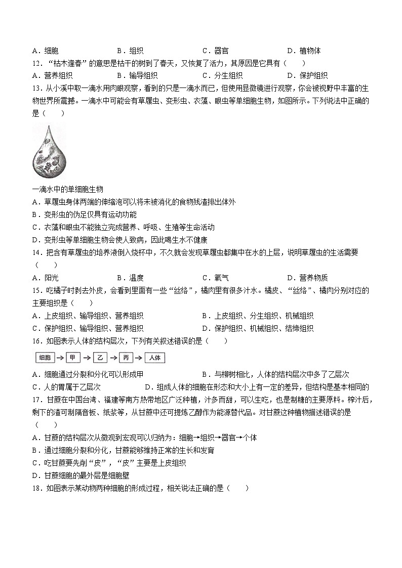 湖南省常德市安乡县2023-2024学年七年级上学期期中生物试题第2页