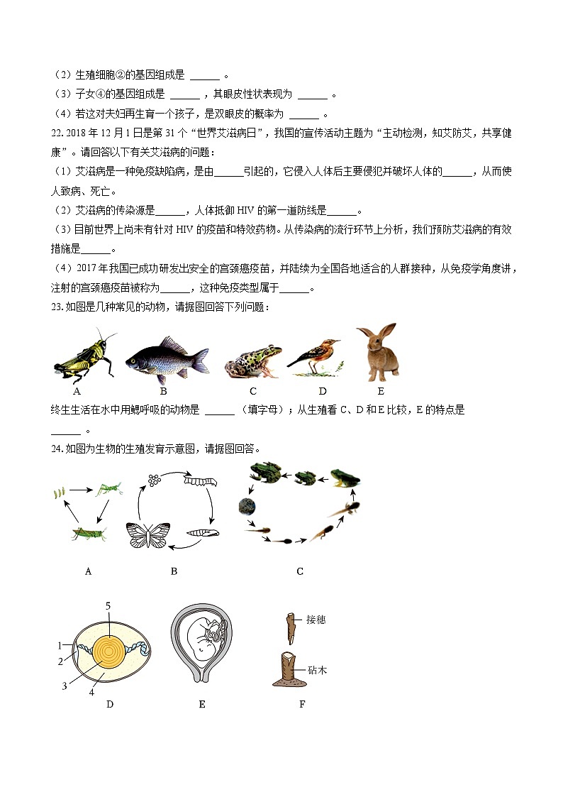 2022-2023学年甘肃省武威市凉州区八年级（下）期末生物试卷（含答案解析）03
