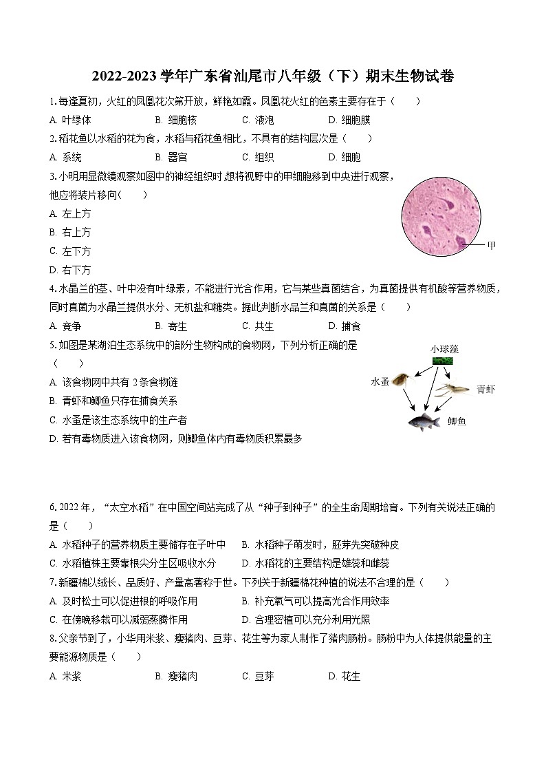 2022-2023学年广东省汕尾市八年级（下）期末生物试卷（含答案解析）第1页