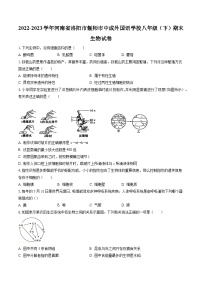 2022-2023学年河南省洛阳市偃师市中成外国语学校八年级（下）期末生物试卷（含答案解析）