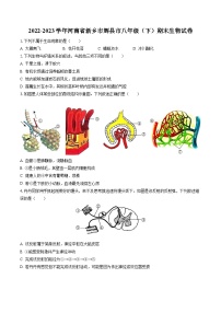 2022-2023学年河南省新乡市辉县市八年级（下）期末生物试卷（含答案解析）