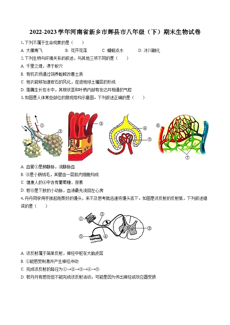 2022-2023学年河南省新乡市辉县市八年级（下）期末生物试卷（含答案解析）第1页