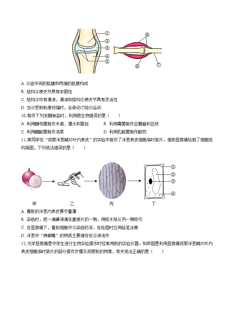 2022-2023学年河南省新乡市辉县市八年级（下）期末生物试卷（含答案解析）第3页