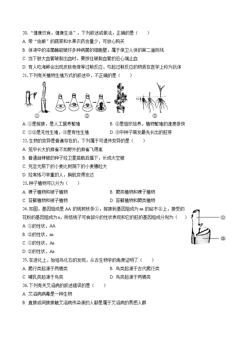 2022-2023学年黑龙江省绥化市安达市老虎岗文化中学八年级（下）期末生物试卷（含答案解析）03