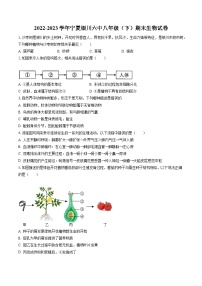 2022-2023学年宁夏银川六中八年级（下）期末生物试卷（含答案解析）