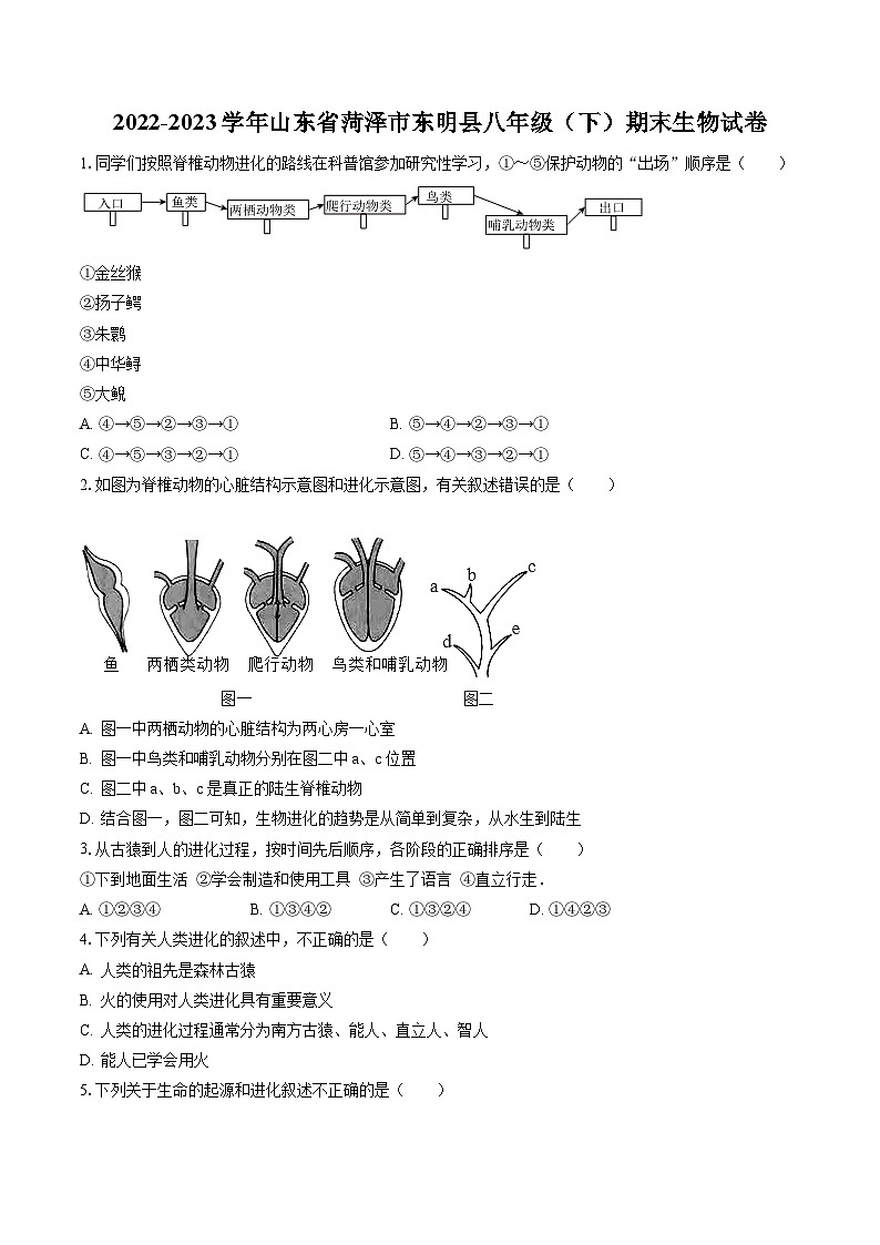 2022-2023学年山东省菏泽市东明县八年级（下）期末生物试卷（含答案解析）01