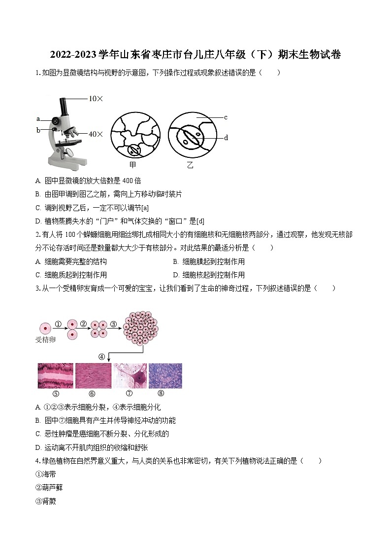 2022-2023学年山东省枣庄市台儿庄八年级（下）期末生物试卷（含答案解析）01