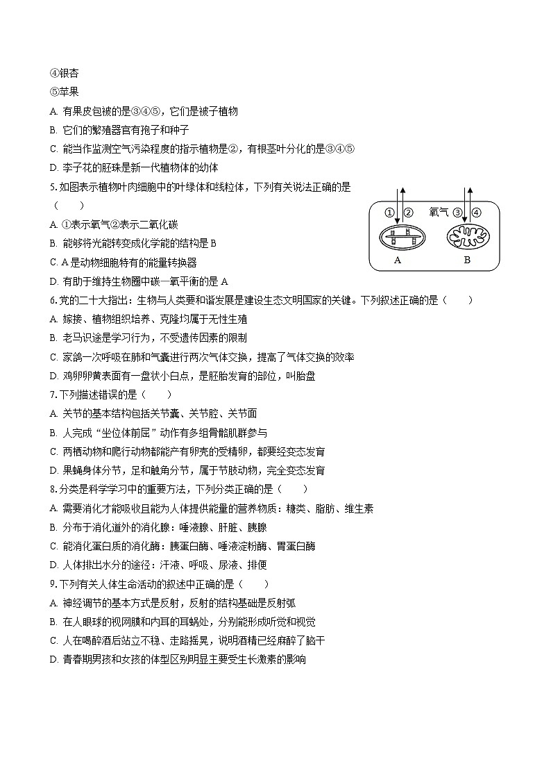 2022-2023学年山东省枣庄市台儿庄区八年级（下）期末生物试卷（含答案解析）第2页