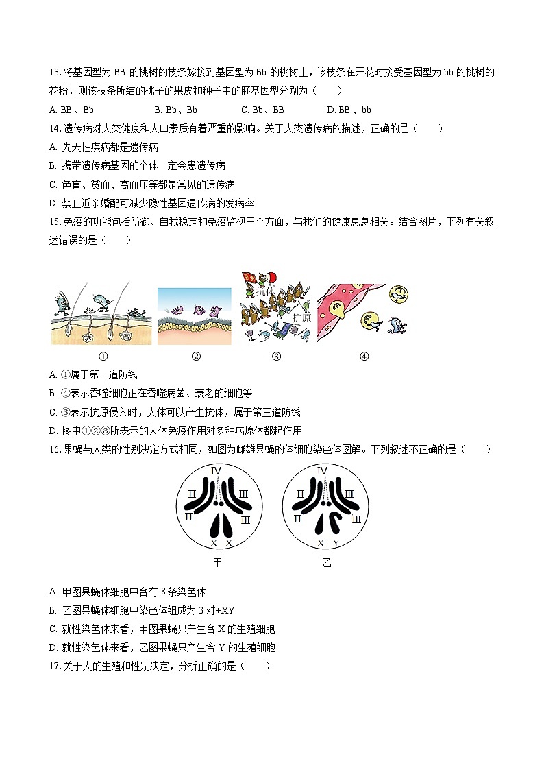 2022-2023学年四川省达州市宣汉县八年级（下）期末生物试卷（含答案解析）第3页