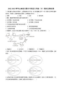 2022-2023学年山西省吕梁市中阳县八年级（下）期末生物试卷（含答案解析）