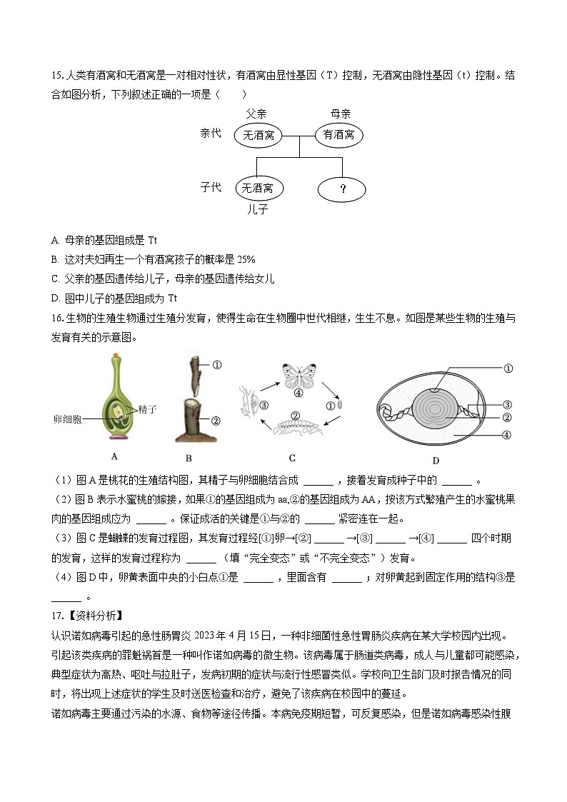 2022-2023学年山西省吕梁市中阳县八年级（下）期末生物试卷（含答案解析）03