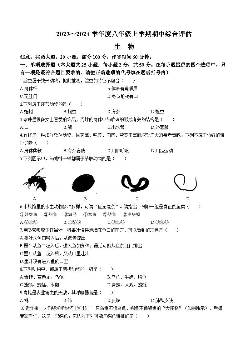 河北省邢台英华教育集团2023-2024学年八年级上学期期中生物试题第1页