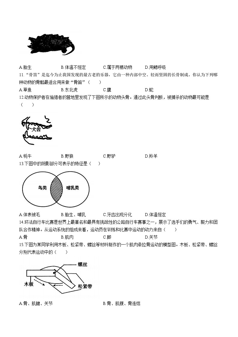 河北省邢台英华教育集团2023-2024学年八年级上学期期中生物试题第2页