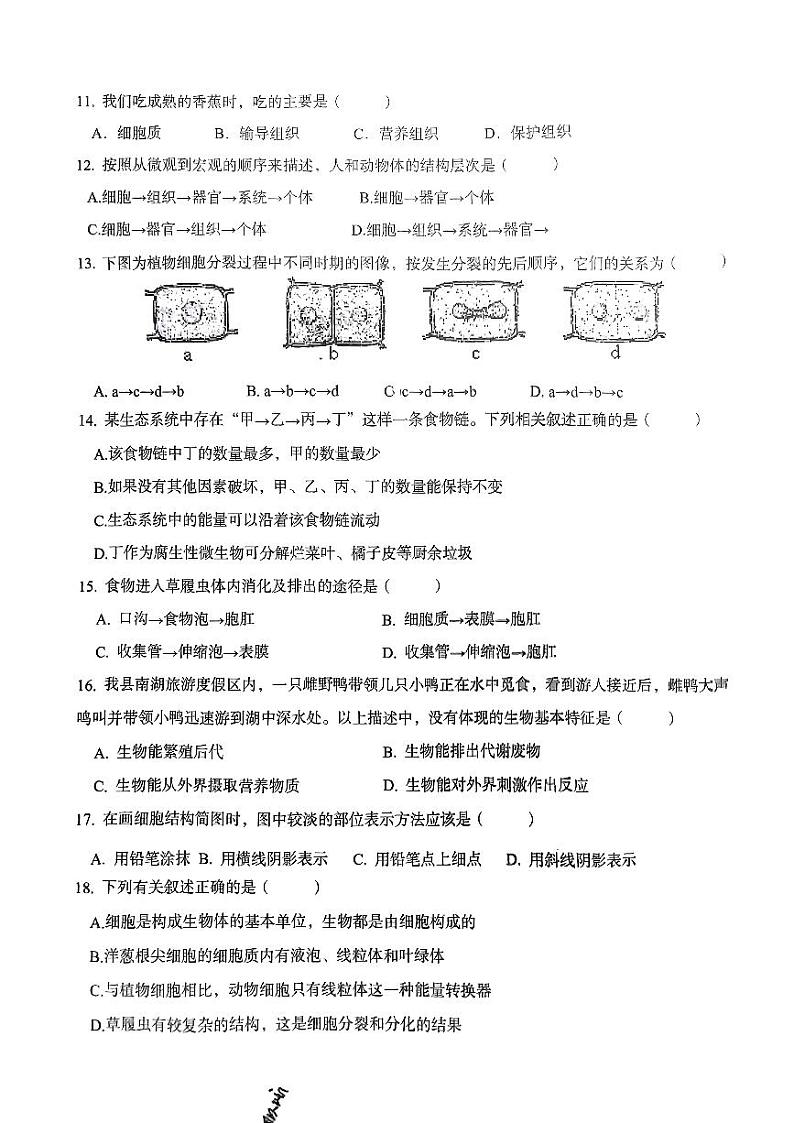 新疆喀什地区英吉沙县2023-2024学年七年级上学期期中生物试题02
