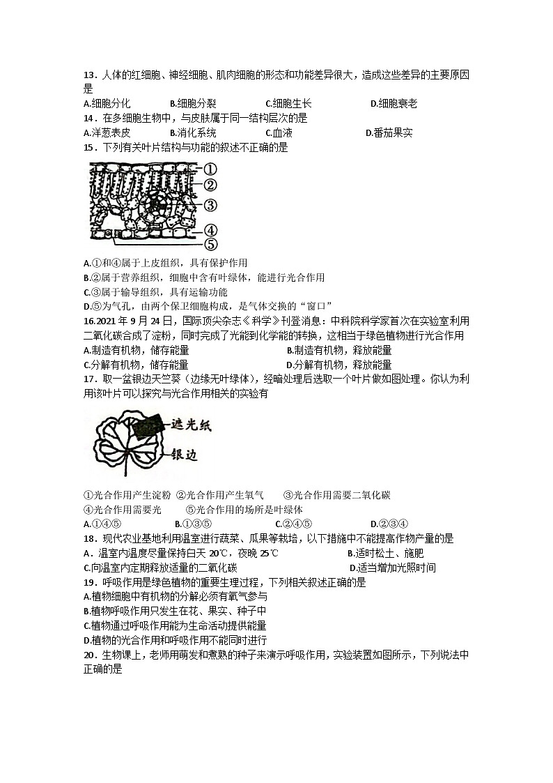 广东省揭阳市揭东区2023-2024学年九年级上学期期中测试生物试卷02
