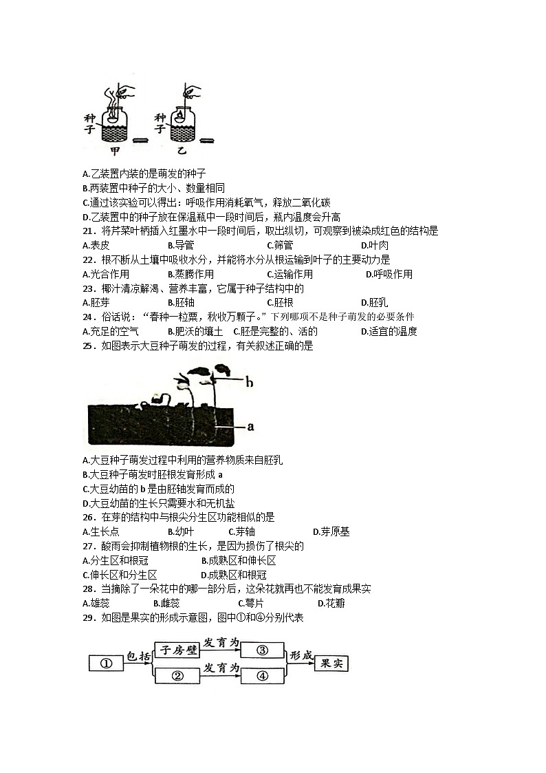 广东省揭阳市揭东区2023-2024学年九年级上学期期中测试生物试卷03