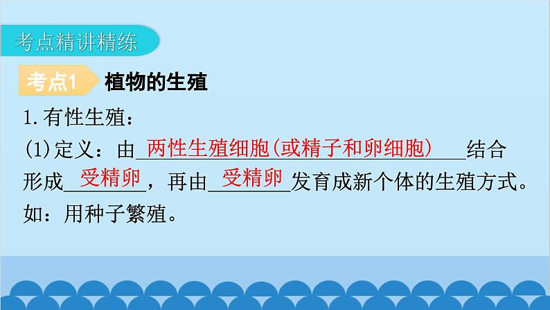 2024年中考生物一轮复习 第七单元第一章 生物的生殖和发育课件07