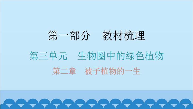 2024年中考生物一轮复习 第三单元第二章 被子植物的一生课件01