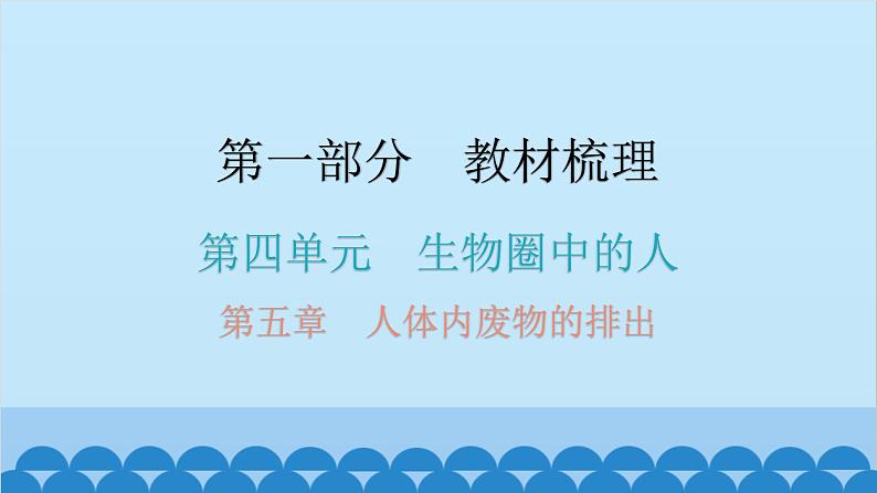 2024年中考生物一轮复习 第四单元第五章 人体内废物的排出课件01