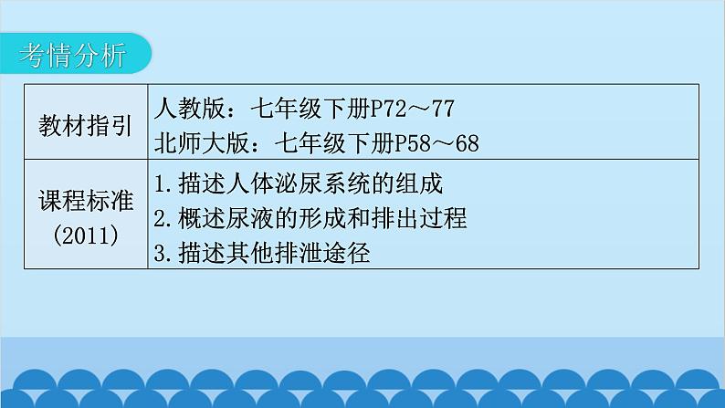 2024年中考生物一轮复习 第四单元第五章 人体内废物的排出课件03