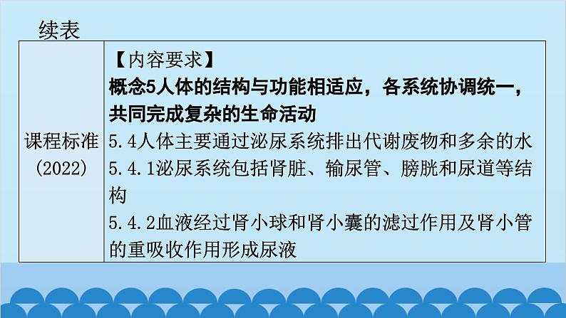 2024年中考生物一轮复习 第四单元第五章 人体内废物的排出课件04