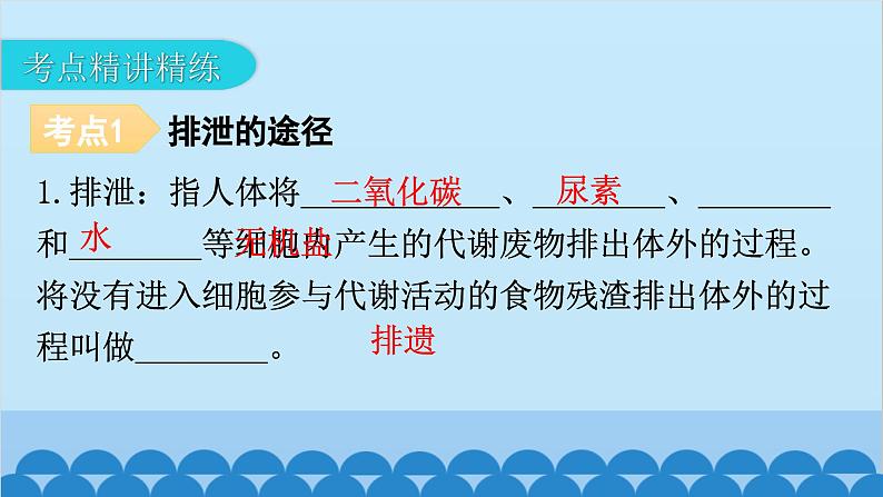 2024年中考生物一轮复习 第四单元第五章 人体内废物的排出课件07