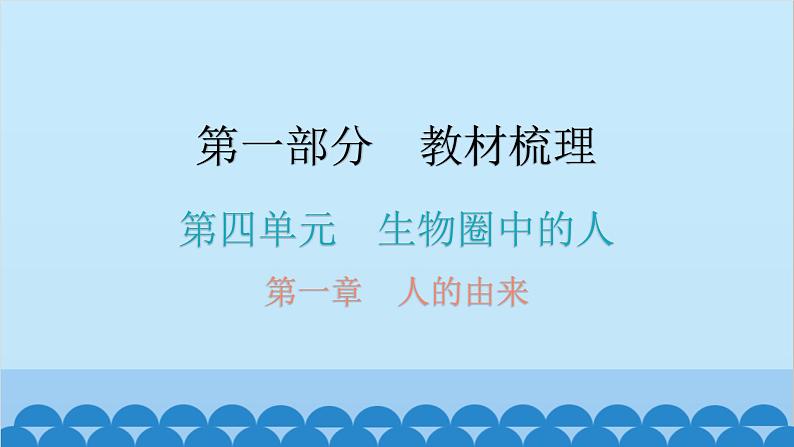 2024年中考生物一轮复习 第四单元第一章 人的由来课件第1页