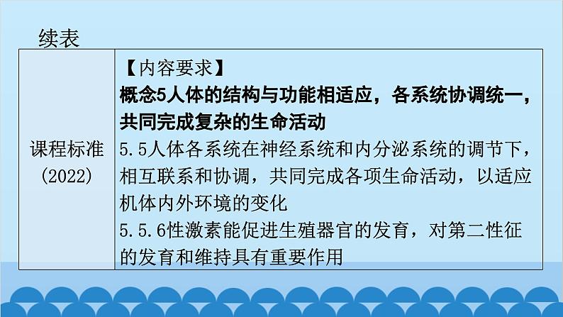 2024年中考生物一轮复习 第四单元第一章 人的由来课件第4页