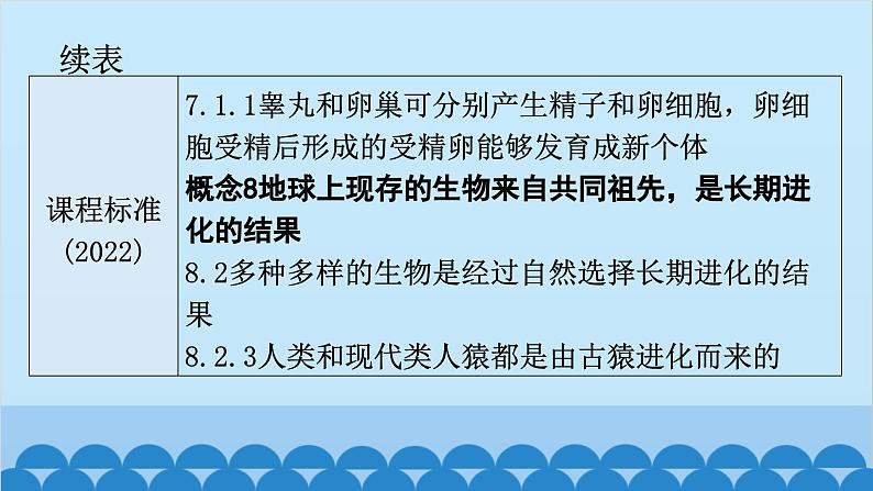 2024年中考生物一轮复习 第四单元第一章 人的由来课件第6页