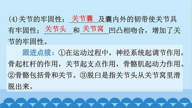 2024年中考生物一轮复习 第五单元第二章 动物的运动和行为 第三章 动物在生物圈中的作用课件第8页