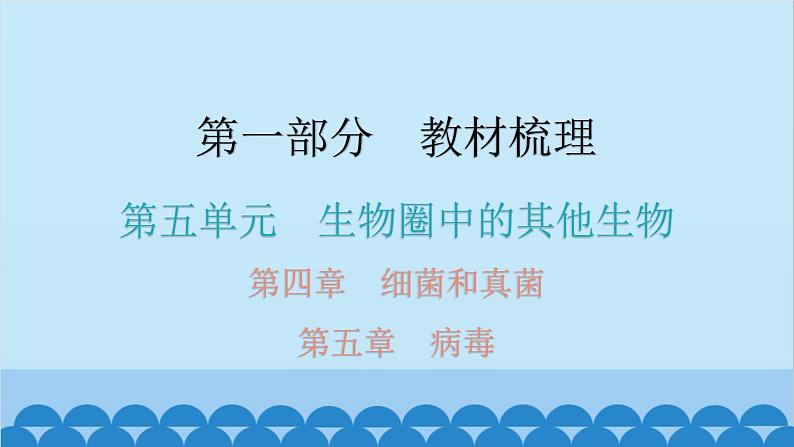 2024年中考生物一轮复习 第五单元第四章 细菌和真菌 第五章 病毒课件第1页