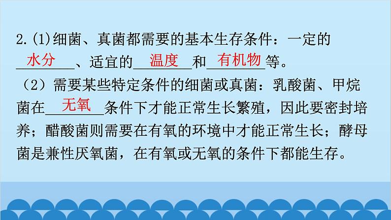 2024年中考生物一轮复习 第五单元第四章 细菌和真菌 第五章 病毒课件第8页