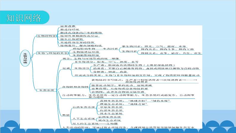 2024年中考生物复习 专题四 生物与环境课件第3页